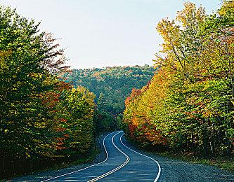 6.5周年神力！《死或生：沙滩排球》跃升至日本Steam销量榜前十